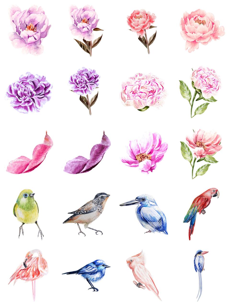 图片[14]-水彩唯美手绘热带花鸟花卉植物拼凑PNG免扣透明元素PS设计素材-设计猿