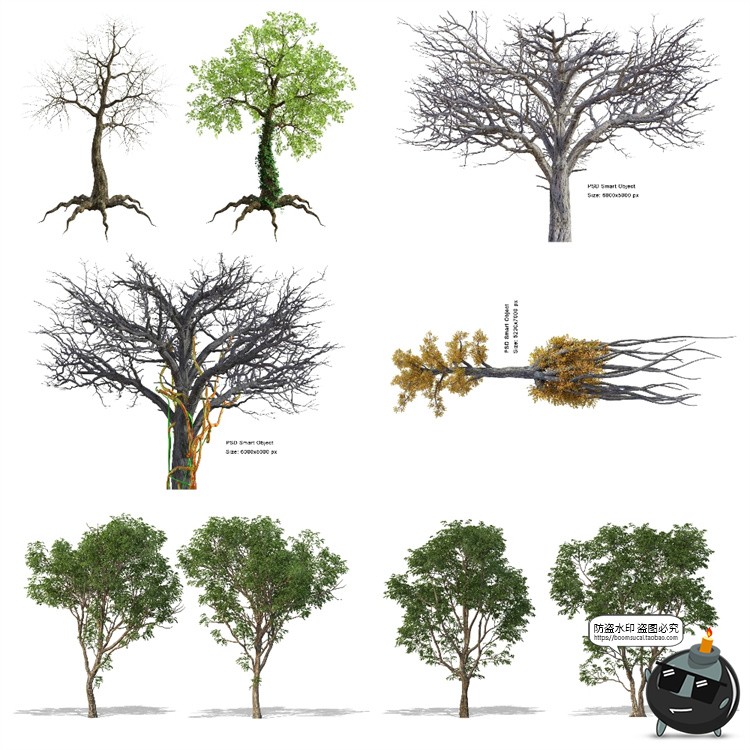 图片[1]-茂盛树木郁郁葱葱大树枯树绿叶园林景观后期合成PSD模板PS素材-设计猿