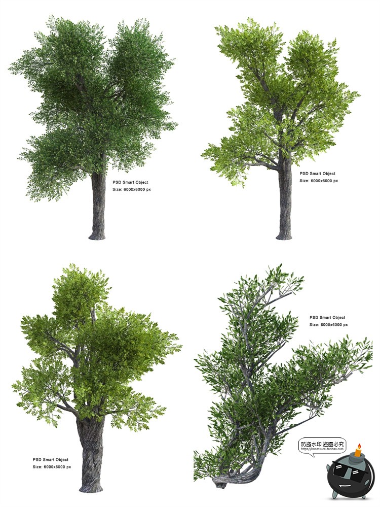 图片[4]-茂盛树木郁郁葱葱大树枯树绿叶园林景观后期合成PSD模板PS素材-设计猿