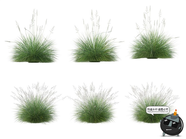 图片[1]-单棵草类杂草野草植物园林景观元素后期合成PSD分层源文件PS素材-设计猿