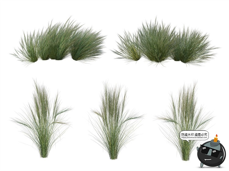 图片[2]-单棵草类杂草野草植物园林景观元素后期合成PSD分层源文件PS素材-设计猿