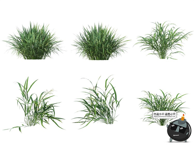 图片[3]-单棵草类杂草野草植物园林景观元素后期合成PSD分层源文件PS素材-设计猿
