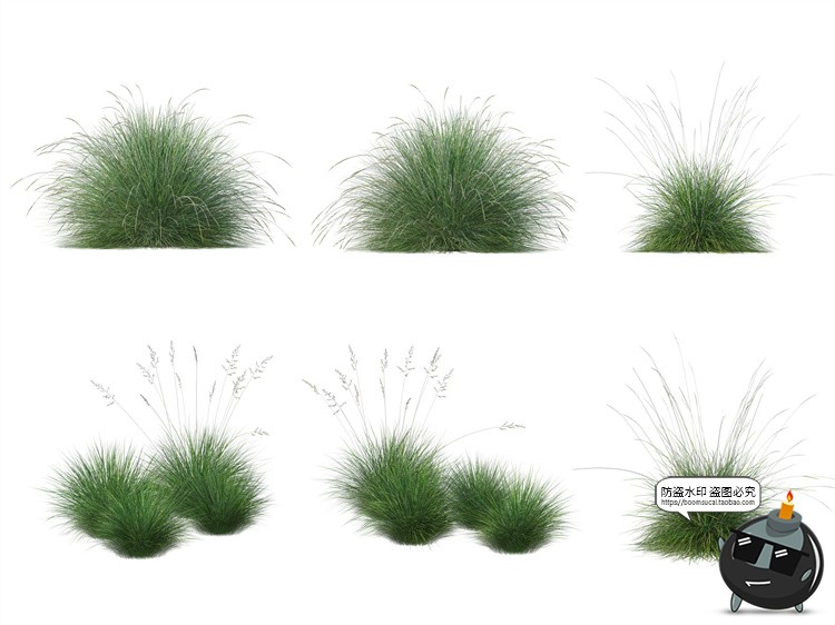 图片[4]-单棵草类杂草野草植物园林景观元素后期合成PSD分层源文件PS素材-设计猿