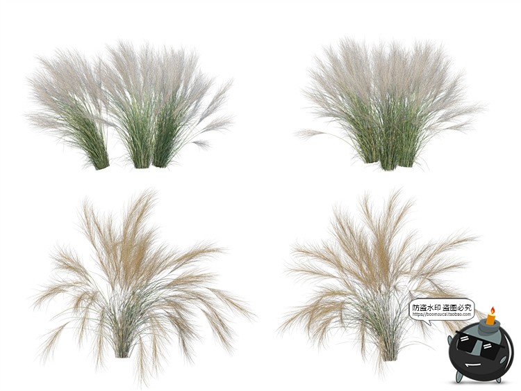 图片[5]-单棵草类杂草野草植物园林景观元素后期合成PSD分层源文件PS素材-设计猿