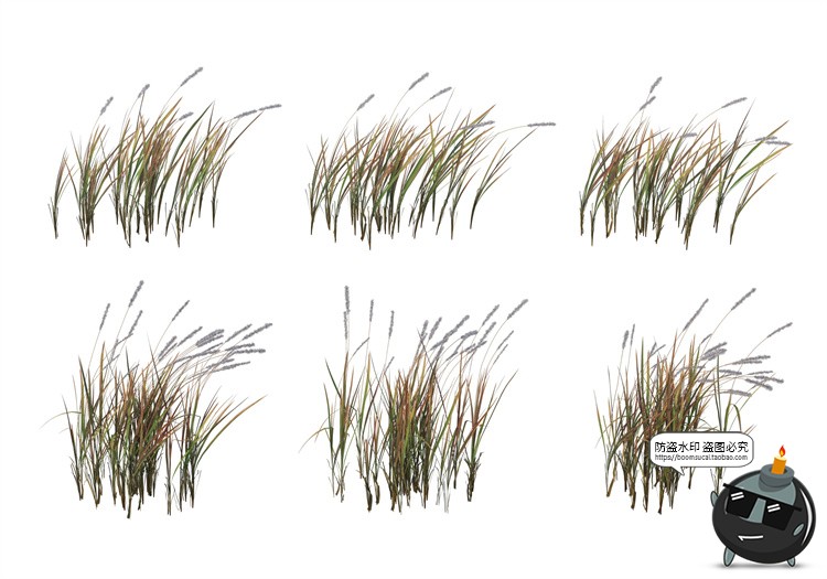 图片[6]-单棵草类杂草野草植物园林景观元素后期合成PSD分层源文件PS素材-设计猿