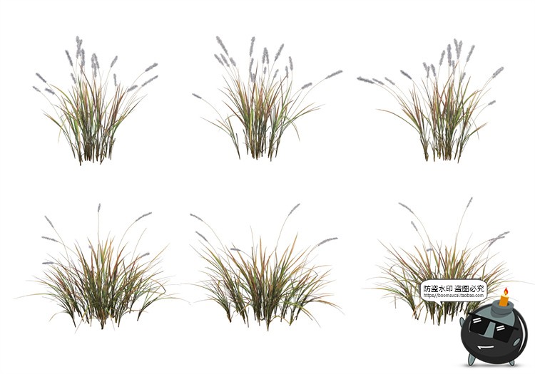 图片[7]-单棵草类杂草野草植物园林景观元素后期合成PSD分层源文件PS素材-设计猿