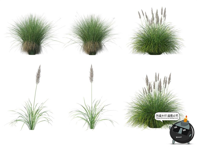 图片[8]-单棵草类杂草野草植物园林景观元素后期合成PSD分层源文件PS素材-设计猿