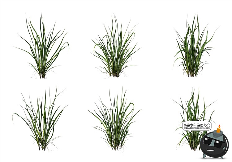 图片[9]-单棵草类杂草野草植物园林景观元素后期合成PSD分层源文件PS素材-设计猿