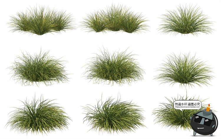 图片[10]-单棵草类杂草野草植物园林景观元素后期合成PSD分层源文件PS素材-设计猿