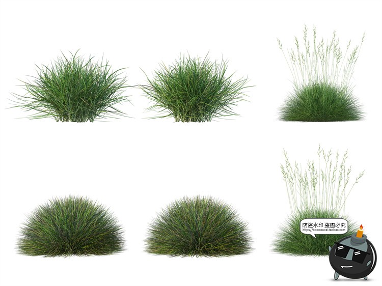 图片[11]-单棵草类杂草野草植物园林景观元素后期合成PSD分层源文件PS素材-设计猿