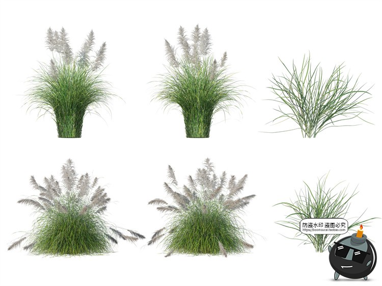 图片[13]-单棵草类杂草野草植物园林景观元素后期合成PSD分层源文件PS素材-设计猿