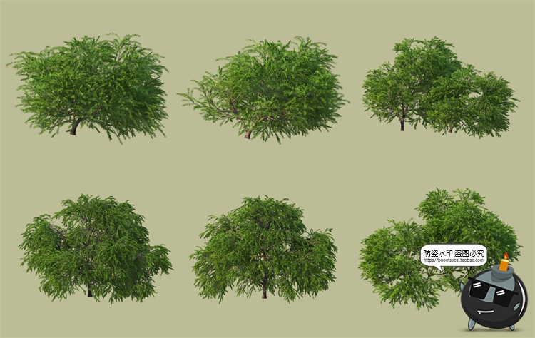 图片[3]-景观绿化灌木草类园林植物绿植后期装饰PSD模板源文件分层PS素材-设计猿