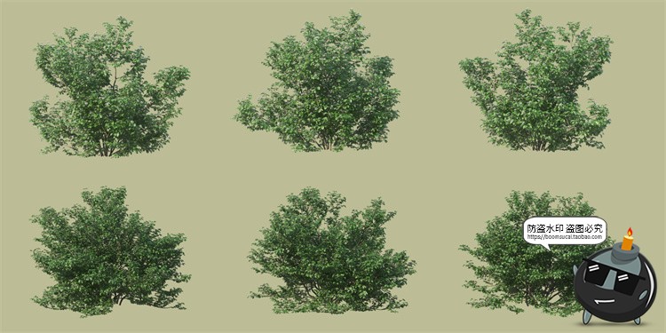 图片[5]-景观绿化灌木草类园林植物绿植后期装饰PSD模板源文件分层PS素材-设计猿