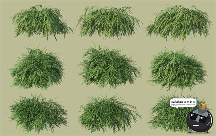 图片[6]-景观绿化灌木草类园林植物绿植后期装饰PSD模板源文件分层PS素材-设计猿