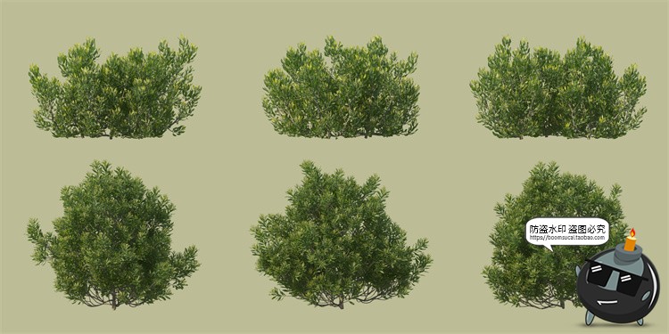 图片[7]-景观绿化灌木草类园林植物绿植后期装饰PSD模板源文件分层PS素材-设计猿
