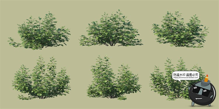 图片[8]-景观绿化灌木草类园林植物绿植后期装饰PSD模板源文件分层PS素材-设计猿