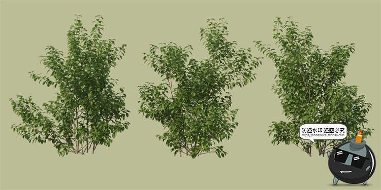 图片[9]-景观绿化灌木草类园林植物绿植后期装饰PSD模板源文件分层PS素材-设计猿