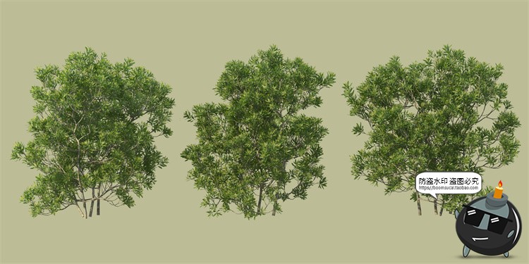 图片[10]-景观绿化灌木草类园林植物绿植后期装饰PSD模板源文件分层PS素材-设计猿