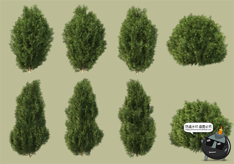 图片[13]-景观绿化灌木草类园林植物绿植后期装饰PSD模板源文件分层PS素材-设计猿