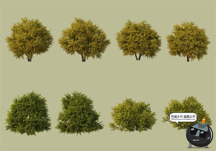 图片[14]-景观绿化灌木草类园林植物绿植后期装饰PSD模板源文件分层PS素材-设计猿