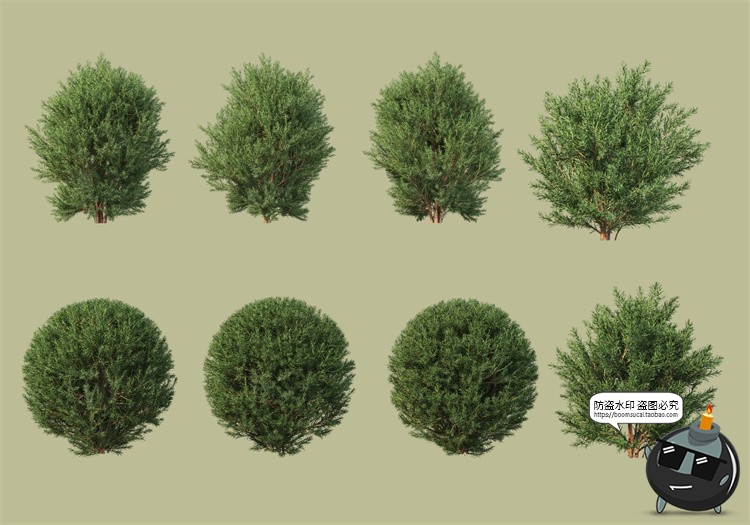 图片[15]-景观绿化灌木草类园林植物绿植后期装饰PSD模板源文件分层PS素材-设计猿