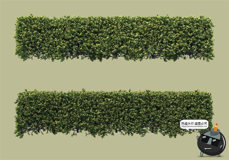 图片[16]-景观绿化灌木草类园林植物绿植后期装饰PSD模板源文件分层PS素材-设计猿