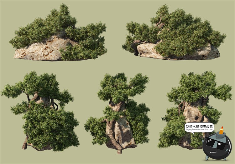 图片[18]-景观绿化灌木草类园林植物绿植后期装饰PSD模板源文件分层PS素材-设计猿