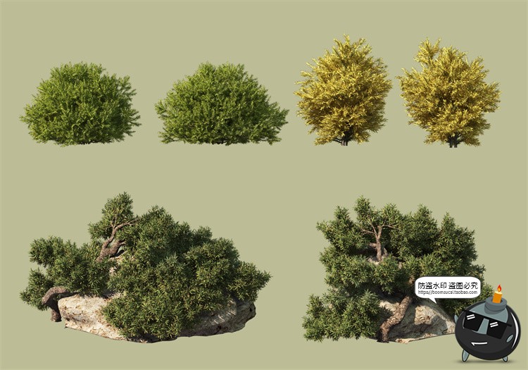 图片[20]-景观绿化灌木草类园林植物绿植后期装饰PSD模板源文件分层PS素材-设计猿