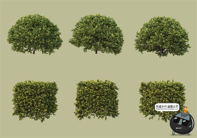 图片[21]-景观绿化灌木草类园林植物绿植后期装饰PSD模板源文件分层PS素材-设计猿