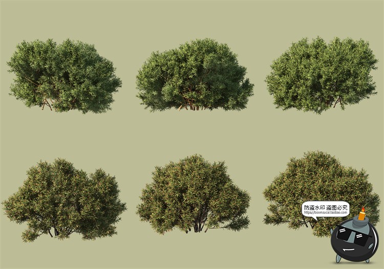 图片[22]-景观绿化灌木草类园林植物绿植后期装饰PSD模板源文件分层PS素材-设计猿