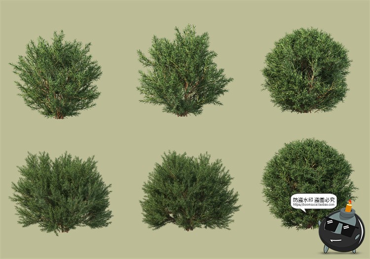 图片[23]-景观绿化灌木草类园林植物绿植后期装饰PSD模板源文件分层PS素材-设计猿