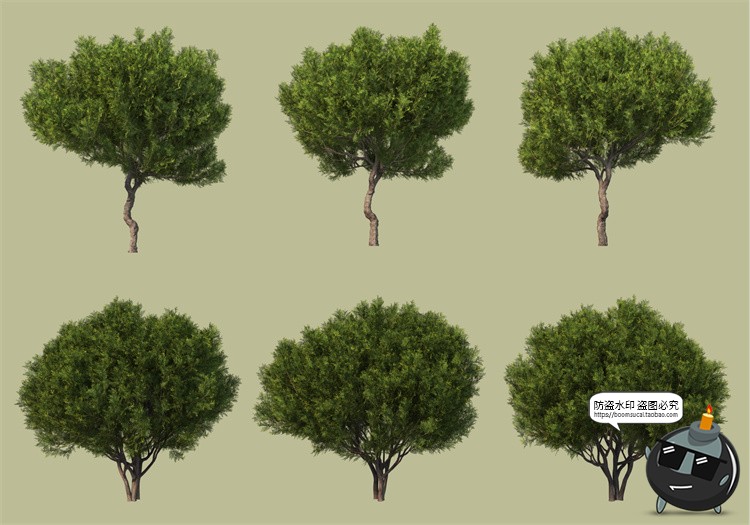 图片[24]-景观绿化灌木草类园林植物绿植后期装饰PSD模板源文件分层PS素材-设计猿