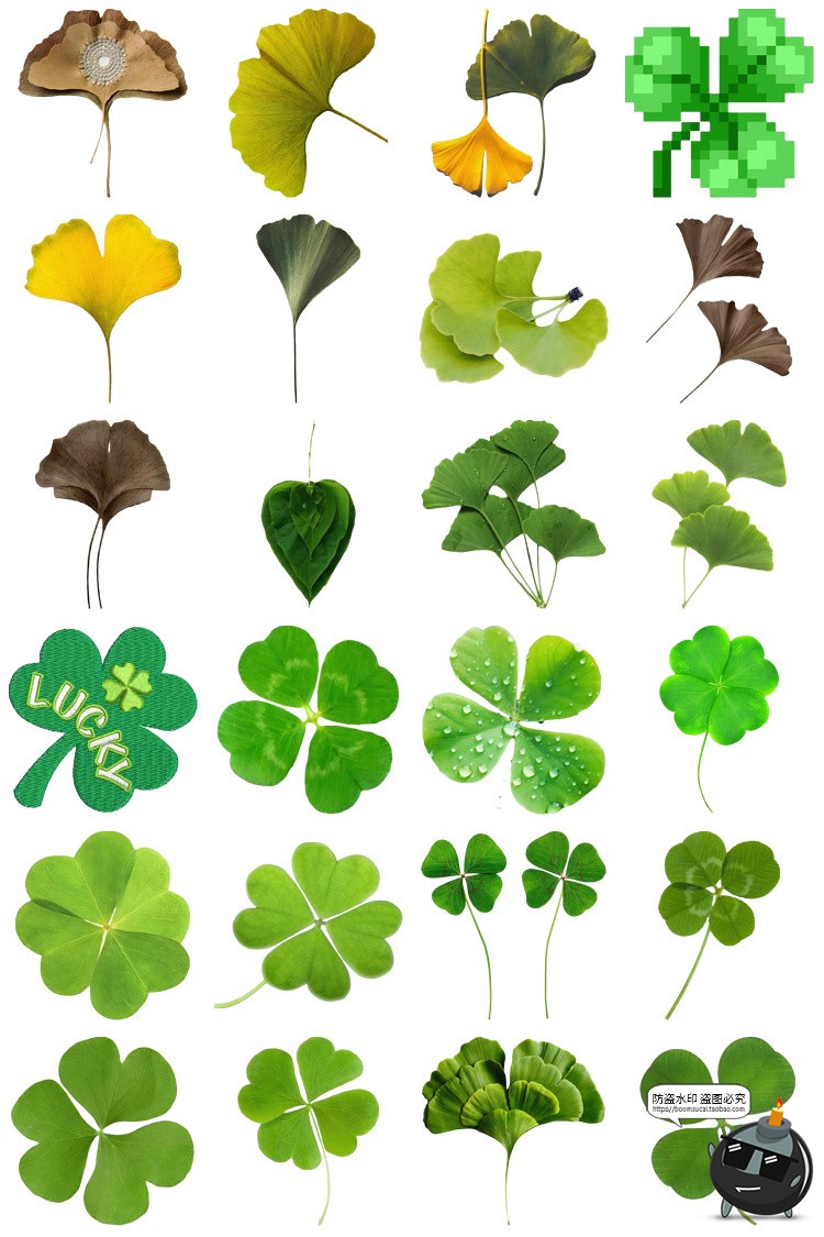 图片[1]-植物绿叶子四叶草杏叶枫叶电子手账png免扣装饰元素美工图片素材-设计猿