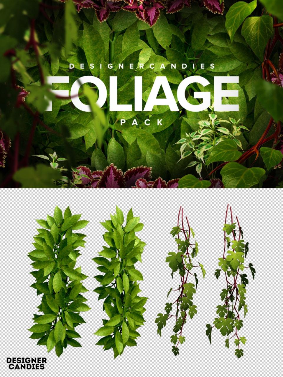 图片[1]-3D绿色植物叶片藤蔓装饰图片元素海报PNG免抠合成PS设计高清素材-设计猿