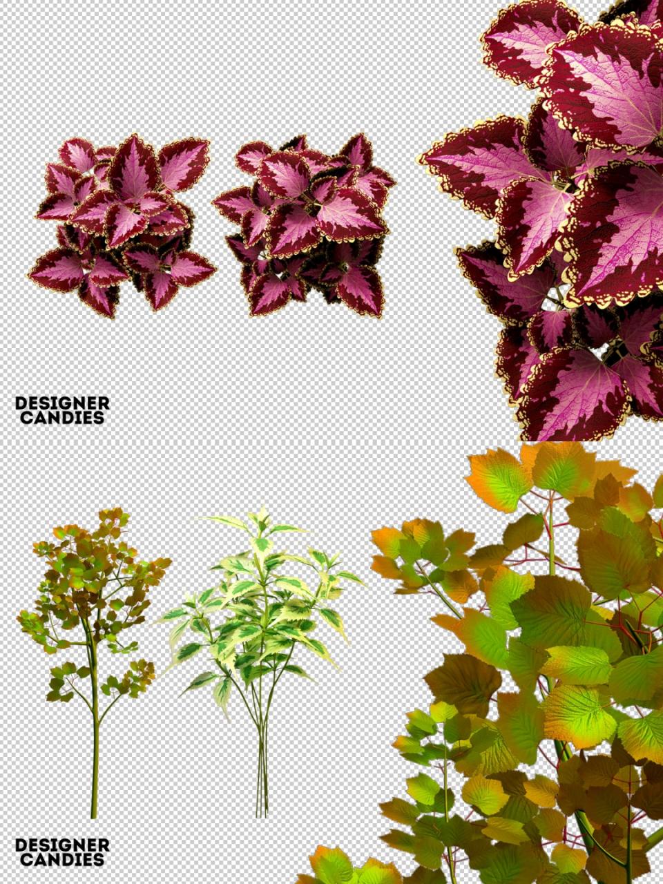 图片[2]-3D绿色植物叶片藤蔓装饰图片元素海报PNG免抠合成PS设计高清素材-设计猿