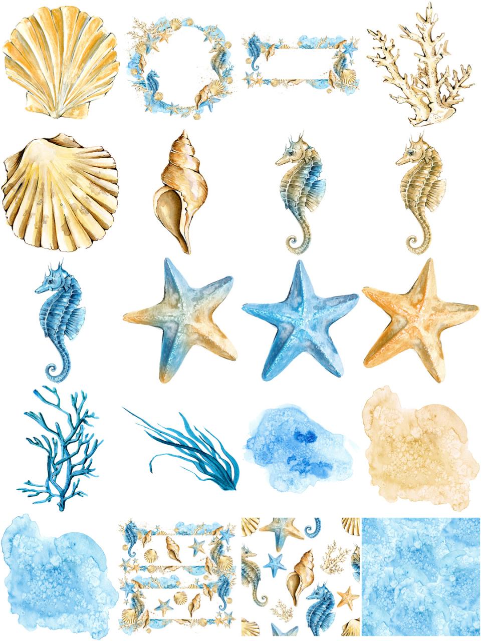 图片[1]-夏日蓝色手绘水彩画贝壳珊瑚海马螺海星海报卡片背景PNG免抠素材-设计猿