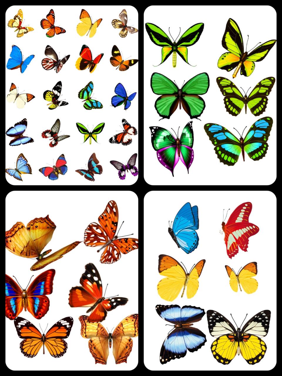 图片[5]-平面蝴蝶飞舞PS分层PSD素材后期设计外景婚纱照影楼静态效果-设计猿