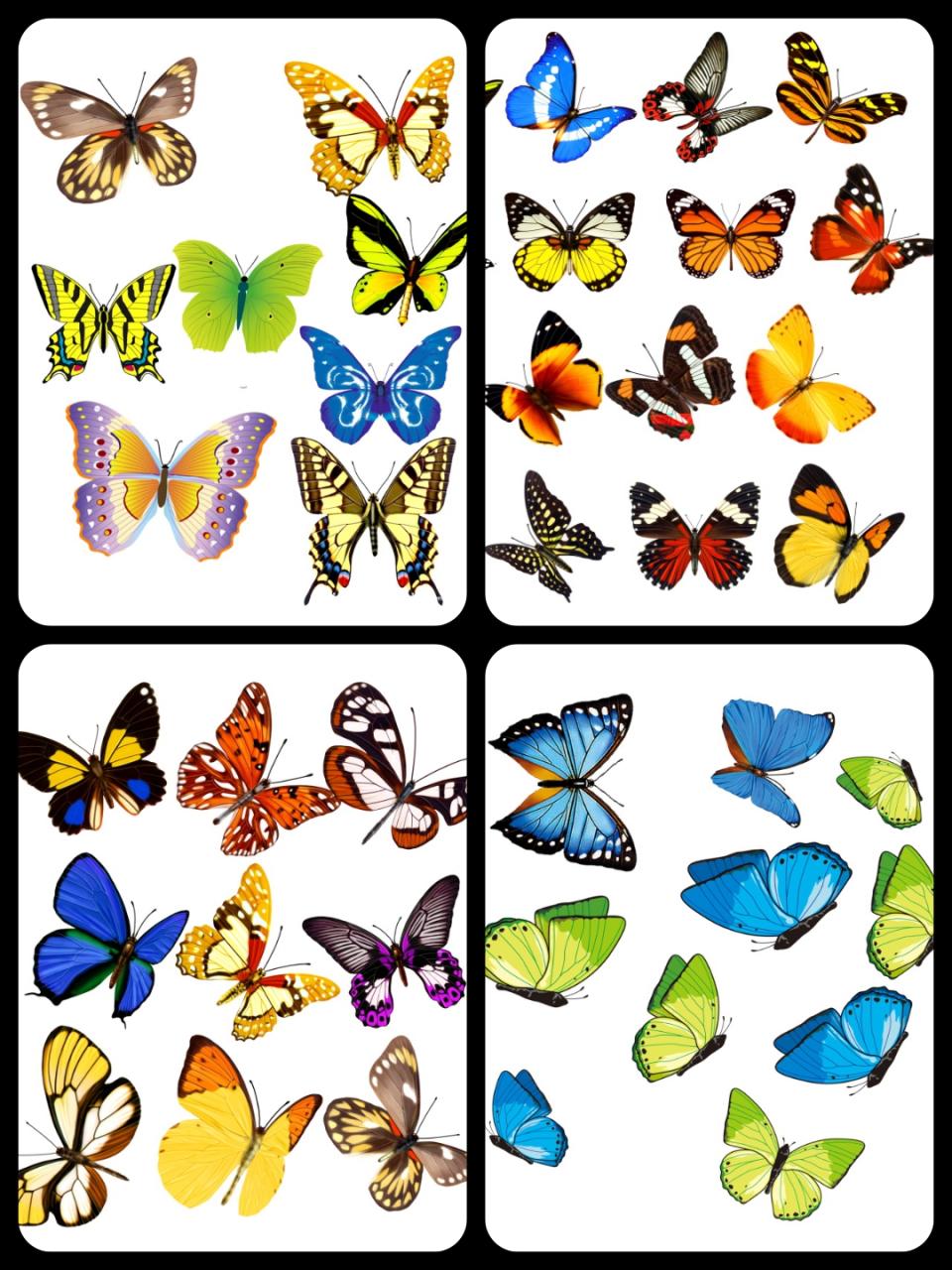 图片[7]-平面蝴蝶飞舞PS分层PSD素材后期设计外景婚纱照影楼静态效果-设计猿