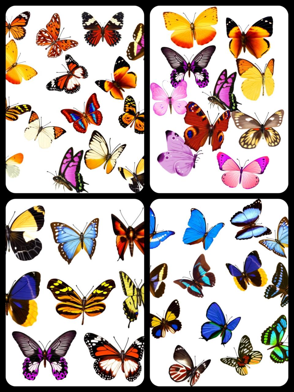 图片[8]-平面蝴蝶飞舞PS分层PSD素材后期设计外景婚纱照影楼静态效果-设计猿