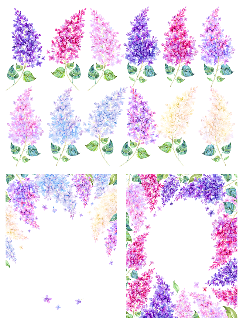 图片[1]-紫色唯美梦幻手绘水彩薰衣草植物花叶子背景图案PNG免抠装饰素材-设计猿