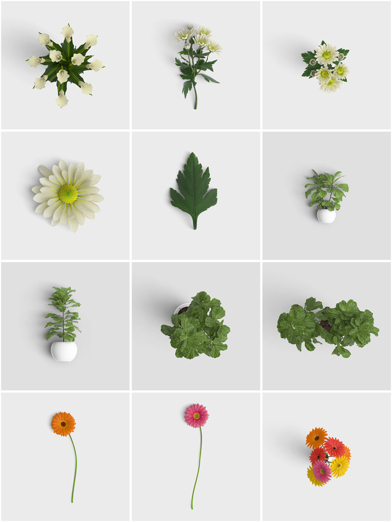 图片[1]-各种真实花卉花瓣绿叶树叶盆栽植物静物免抠图片PSD源文件PS素材-设计猿