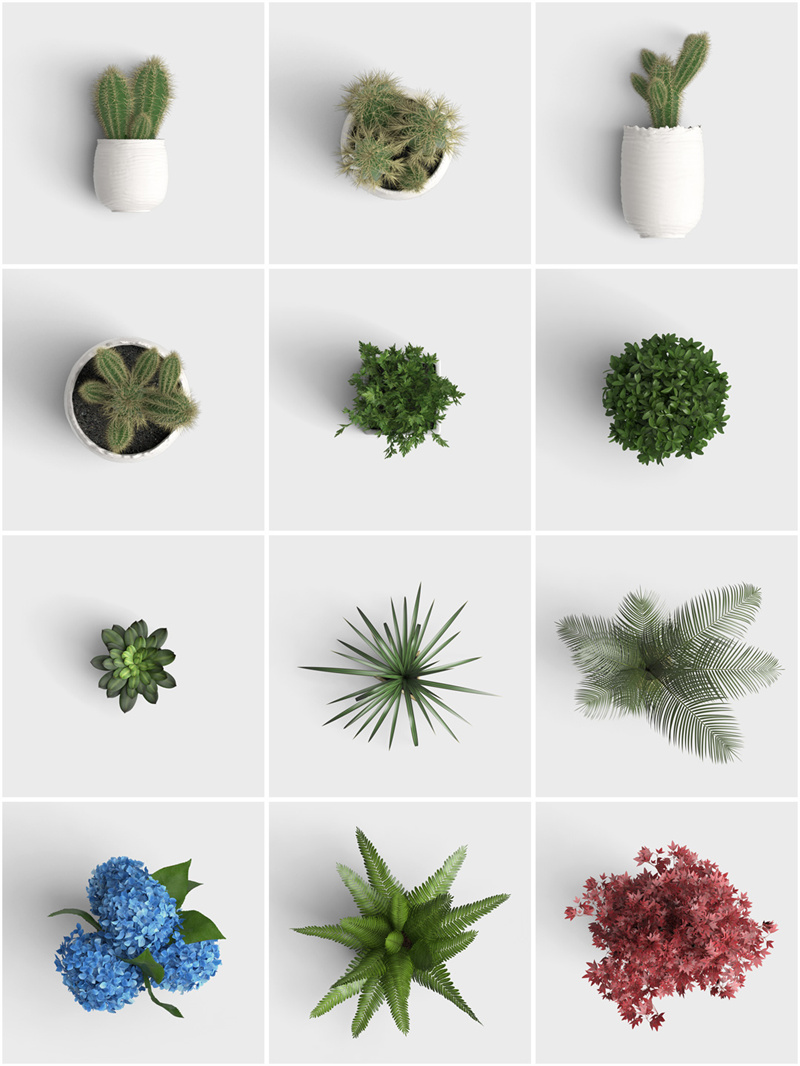 图片[4]-各种真实花卉花瓣绿叶树叶盆栽植物静物免抠图片PSD源文件PS素材-设计猿