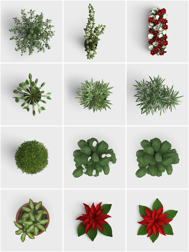 图片[5]-各种真实花卉花瓣绿叶树叶盆栽植物静物免抠图片PSD源文件PS素材-设计猿