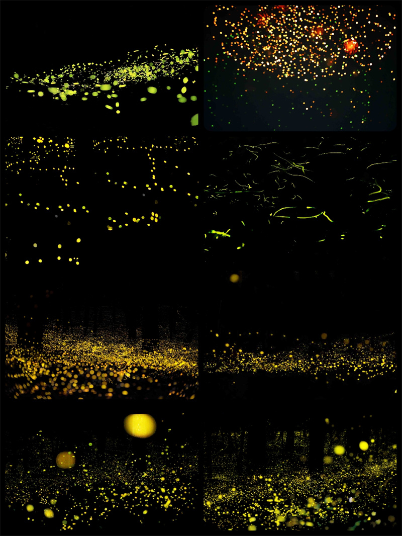 图片[3]-萤火虫夜景PSD婚纱照后期PS唯美荧光萤火光斑冲光JPG叠层素材-设计猿