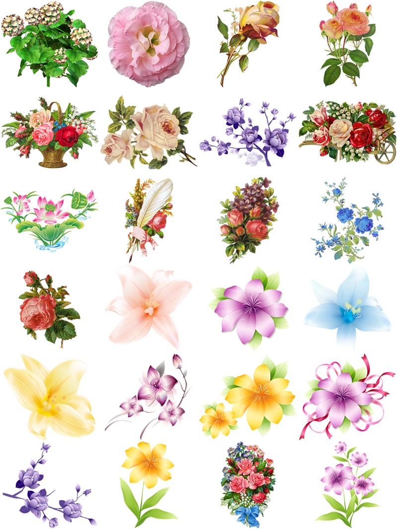 图片[1]-欧美复古古典手绘植物花朵鲜花装饰包合集透明背景PNG免抠PS素材-设计猿