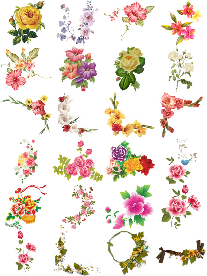 图片[2]-欧美复古古典手绘植物花朵鲜花装饰包合集透明背景PNG免抠PS素材-设计猿