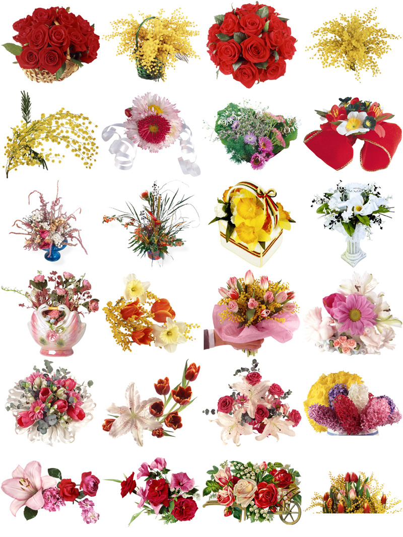 图片[4]-欧美复古古典手绘植物花朵鲜花装饰包合集透明背景PNG免抠PS素材-设计猿