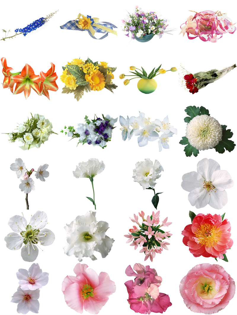 图片[6]-欧美复古古典手绘植物花朵鲜花装饰包合集透明背景PNG免抠PS素材-设计猿