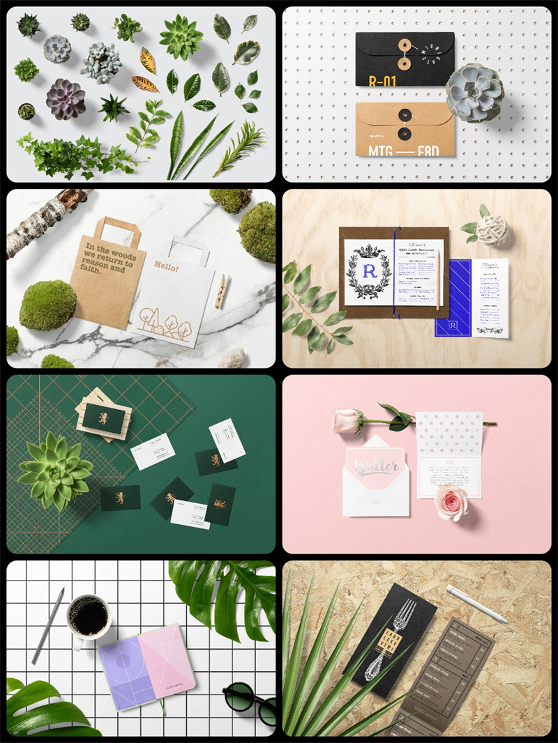 图片[1]-花卉绿色植物主题叶子多肉木棍摆件场景装饰元素PSD源文件PS素材-设计猿