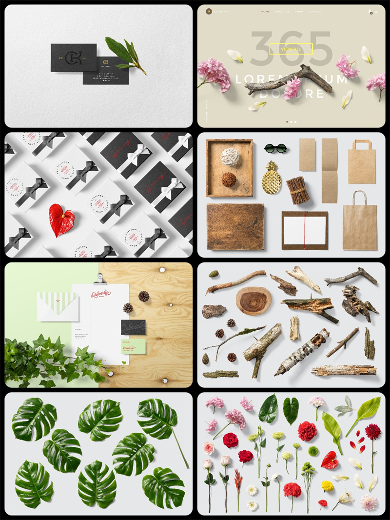 图片[2]-花卉绿色植物主题叶子多肉木棍摆件场景装饰元素PSD源文件PS素材-设计猿